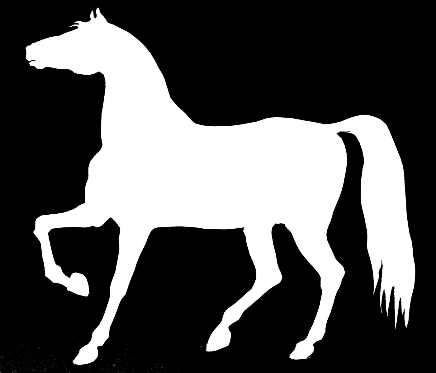 Силуэт лошади раскраска